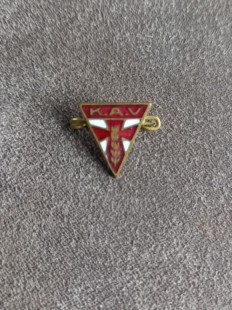 Speld K.A.V, Ophalen of Verzenden, Gebruikt