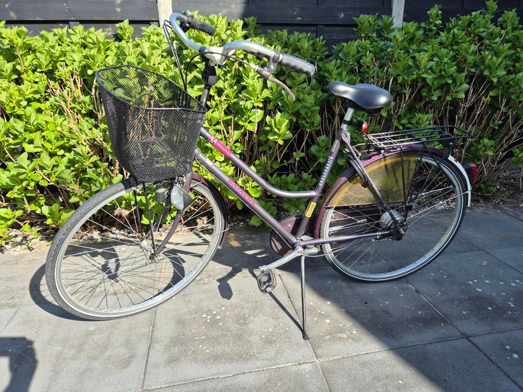 Batavus damesfiets, Terugtraprem, Ophalen, Overige merken, 53 tot 56 cm