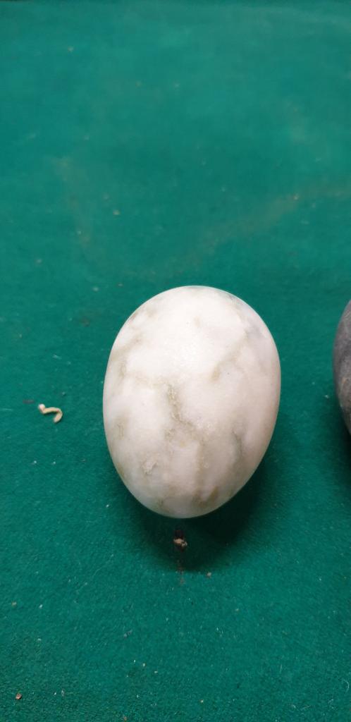 marmeren ei, Verzamelen, Ophalen of Verzenden