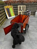 Bakfiets - Ideaal voor hond en boodschappen, Fietsen en Brommers, Ophalen, Gebruikt, Goederen, Overige merken