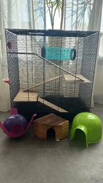 Rattenkooi inc. Accessoires, Dieren en Toebehoren, Ophalen, Kooi, Gebruikt, 60 tot 90 cm
