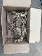 Doosje met 5 Dahlia’s, Ophalen, Volle zon, Knol