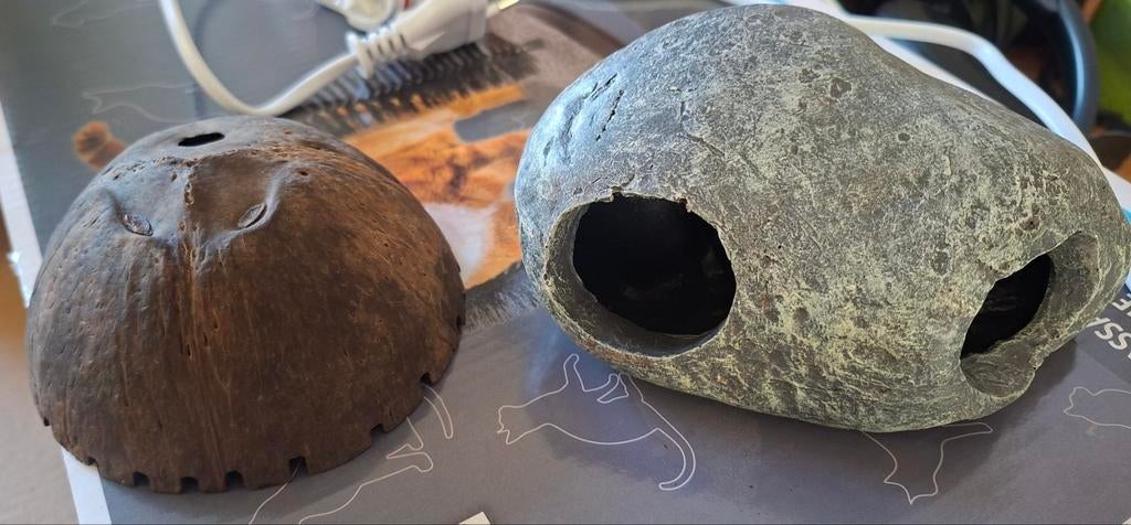 Aquarium deco, Dieren en Toebehoren, Ophalen, Plant(en), Steen of Hout