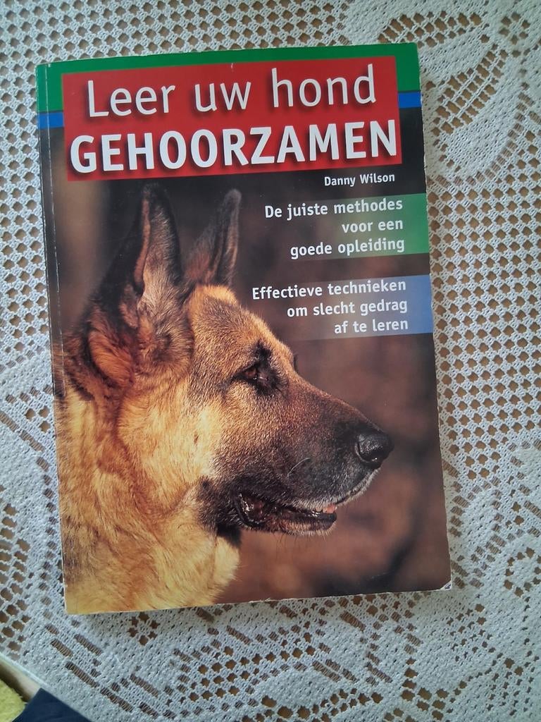 D. Wilson - Leer uw hond gehoorzamen, Boeken, Ophalen of Verzenden, Zo goed als nieuw, Honden, D. Wilson