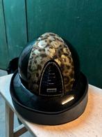 Kep italia 2.0 chromo, Dieren en Toebehoren, Paardrijkleding, Ophalen of Verzenden, Nieuw, Dressuur, Cap