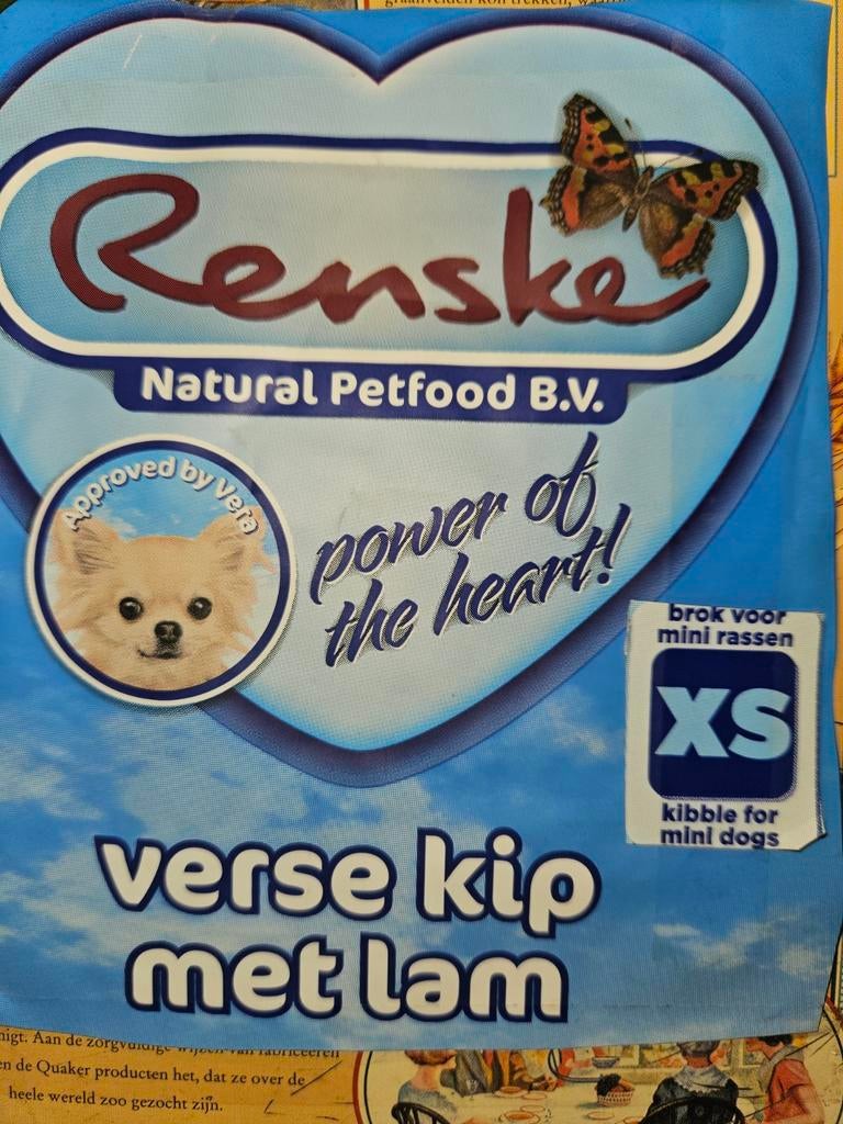 Puppy brokjes, 11 kilo, alleen afhalen., 8 tot 15 weken, Meerdere dieren, Eén hond, Nederland