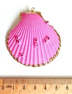 Schelp Bedel Roze Gold, Verzenden, Nieuw, Bedel