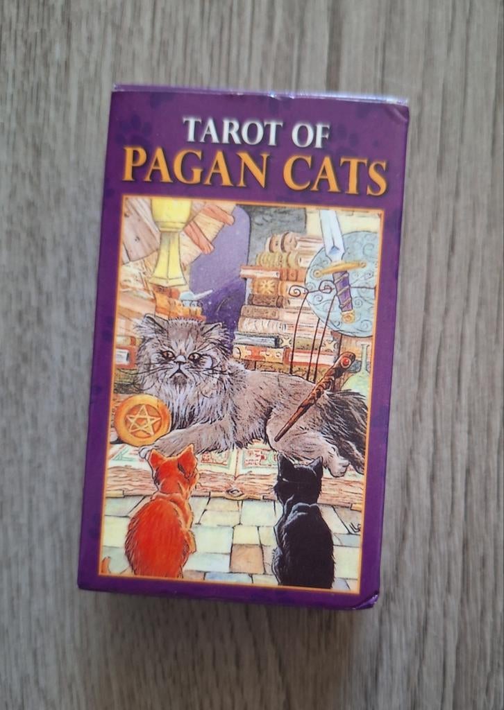 tarot of pagan cats kaartenset in doosje, Verzamelen, Speelkaarten, Jokers en Kwartetten, Ophalen of Verzenden, Nieuw, Speelkaart(en)