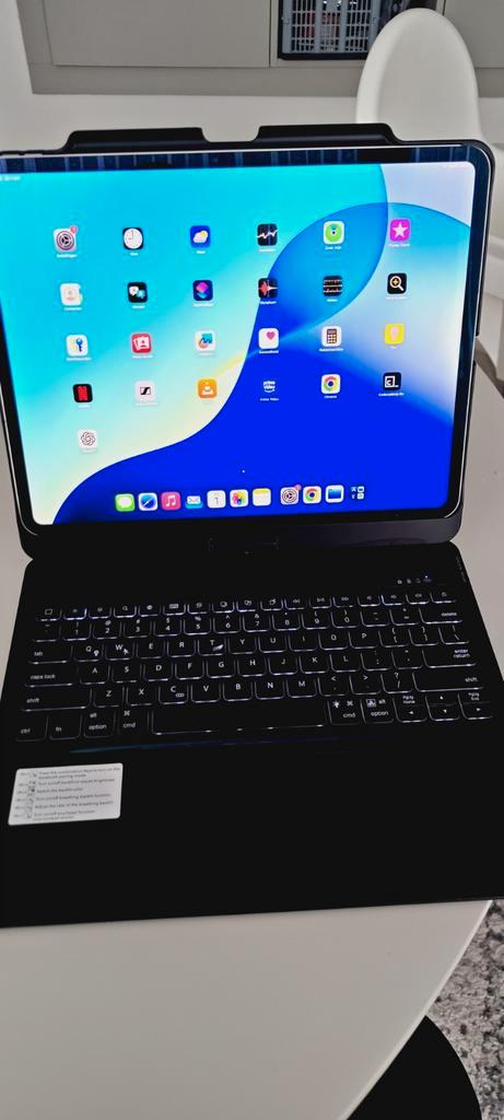 Nieuwe iPad Pro 13" (M4) met Toebehoren, Computers en Software, Apple iPads, Nieuw, Apple iPad Pro, Wi-Fi, 13 inch of meer, 256 GB