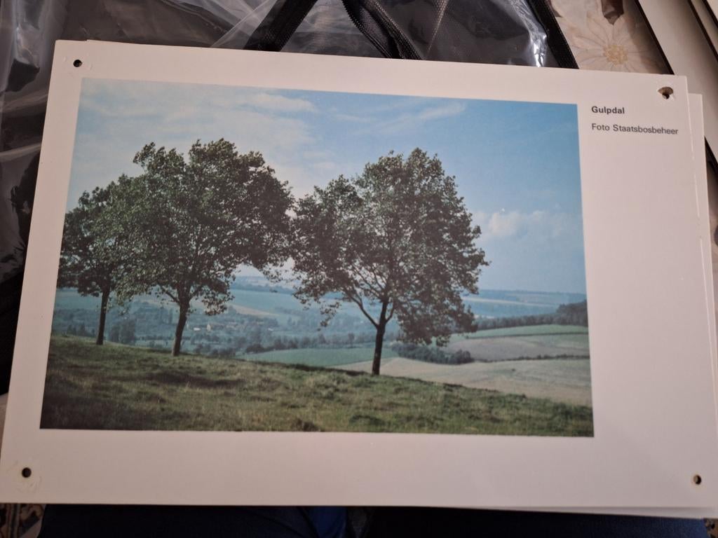 Limburgse Foto Gulpdal (L) Op Plaat., Verzamelen, Ophalen of Verzenden, Zo goed als nieuw