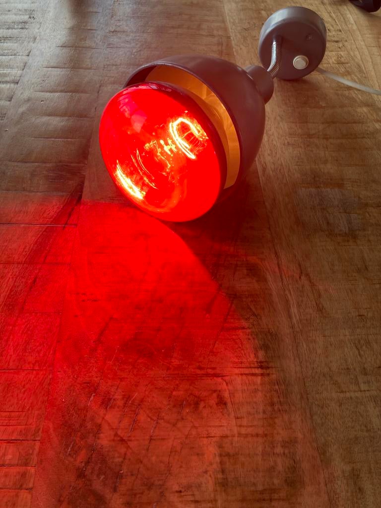 Philips infraroodlamp Broedlamp, Ophalen