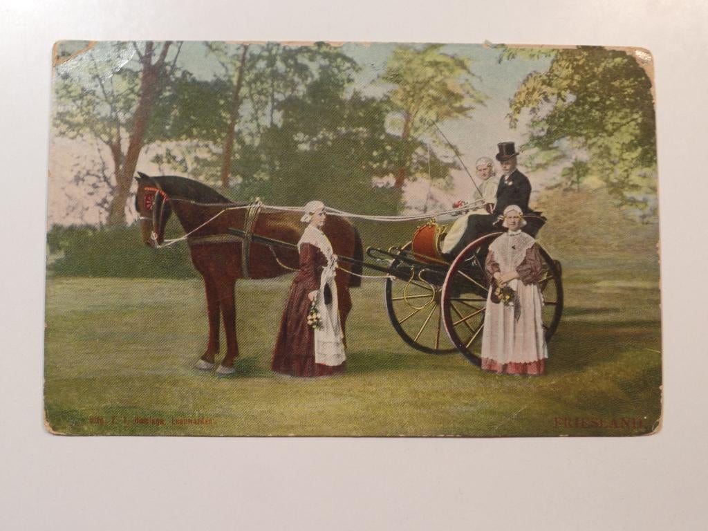 Friese Klederdracht Friesland tulpkaart, Verzamelen, Ansichtkaarten | Nederland, Ophalen of Verzenden, Ongelopen, Friesland