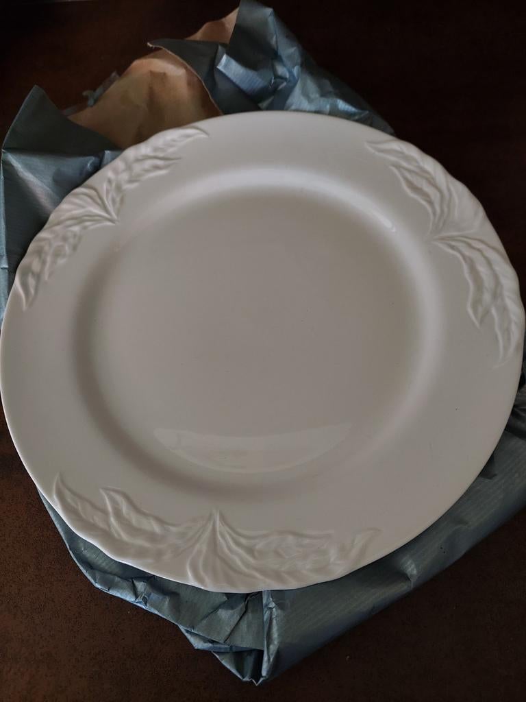 Villeroy & Boch Foglia dinerbord ongebruikt, Nieuw, Ophalen of Verzenden, Bord(en), Overige stijlen