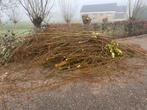 Gratis af te halen: Wilgentakken, 3 tot 6 m³, Ophalen, Overige houtsoorten, Takken