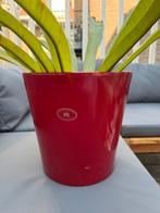 Rode indoor plantenbak, Tuin en Terras, Rond, Ophalen of Verzenden, Zo goed als nieuw, Aardewerk