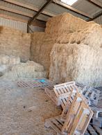 Te koop: Hooi balen, Ophalen of Verzenden