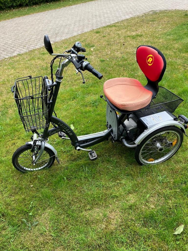 Van Raam Easy Go driewieler fiets en scootmobiel   in één, Ophalen