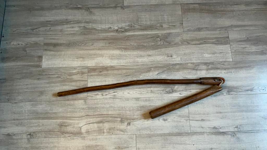 Antieke dorsvlegel, Ophalen