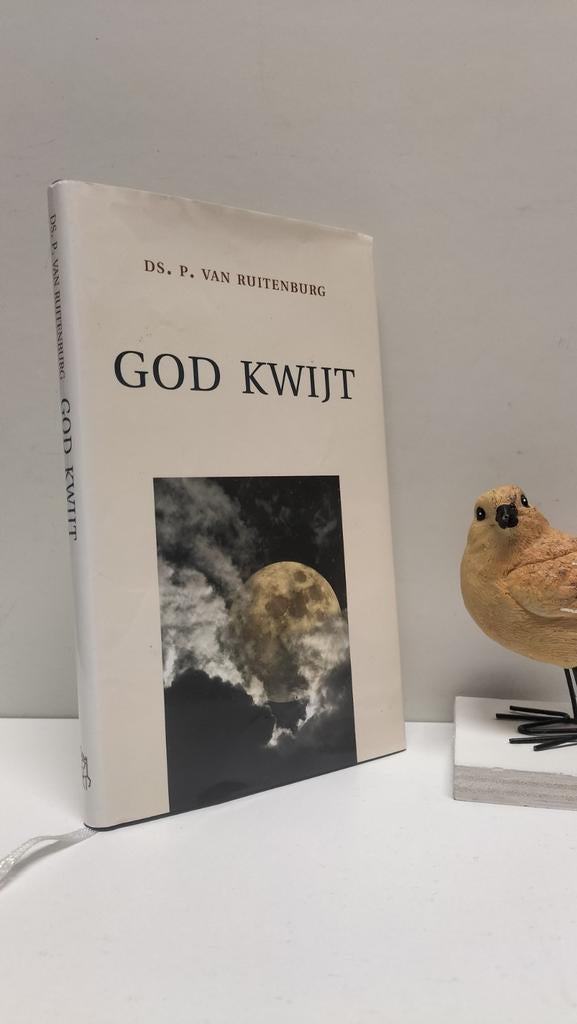Ruitenburg, Ds. P. van; God kwijt, Boeken, Godsdienst en Theologie, Ophalen of Verzenden, Gelezen, Christendom | Protestants
