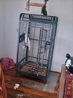 vogel kooi, Dieren en Toebehoren, Vogels | Overige Vogels, Meerdere dieren