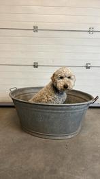 Mooie grote zinken teil. 94 x 74 cm doorsnede., Rond, Ophalen of Verzenden, Zo goed als nieuw, Metaal