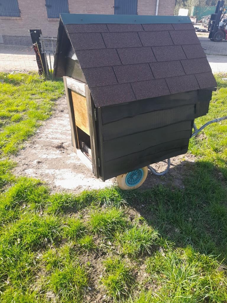 Mobiele kippenhok op wielen, Ophalen of Verzenden, Gebruikt, Kippenhok of Kippenren