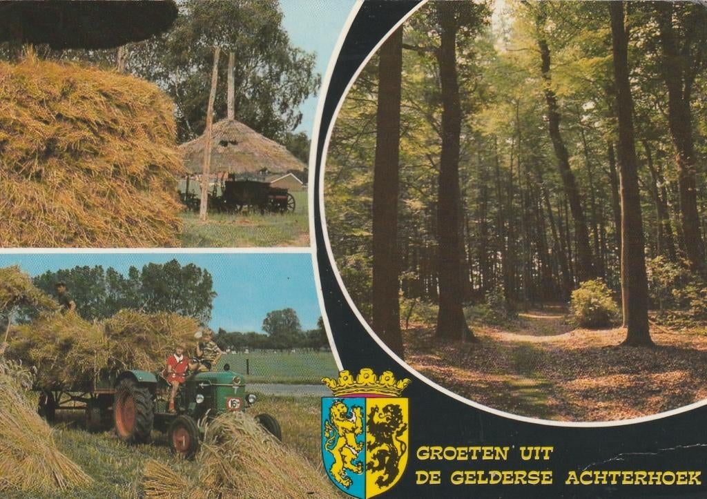 GELDERSE ACHTERHOEK Boerderij Oogst Bos Groeten, Verzenden, 1980 tot heden, Gelopen, Gelderland
