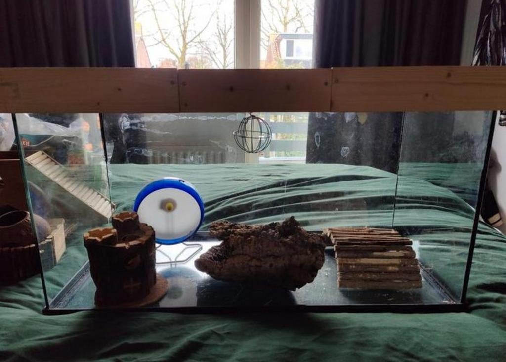 Ruime knaagdieren terrarium met veel spullen, Kooi, Gebruikt, Muis, 75 tot 110 cm