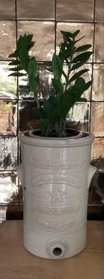 Antieke Slack & Brownlow steengoed waterfilter, 19e eeuw, Ophalen