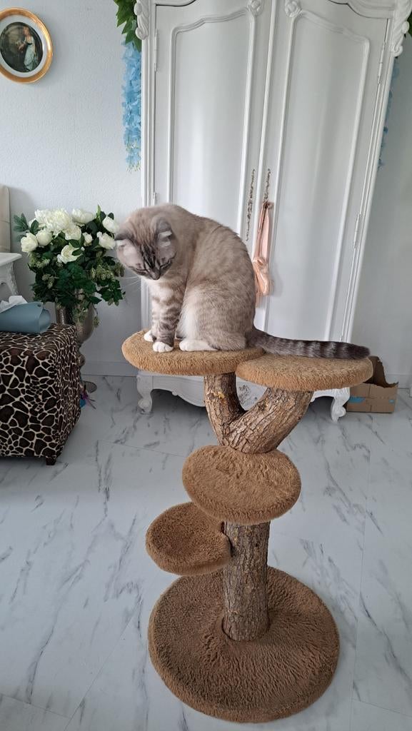 Katten krabpaal, Ophalen, Zo goed als nieuw, Krabpaal