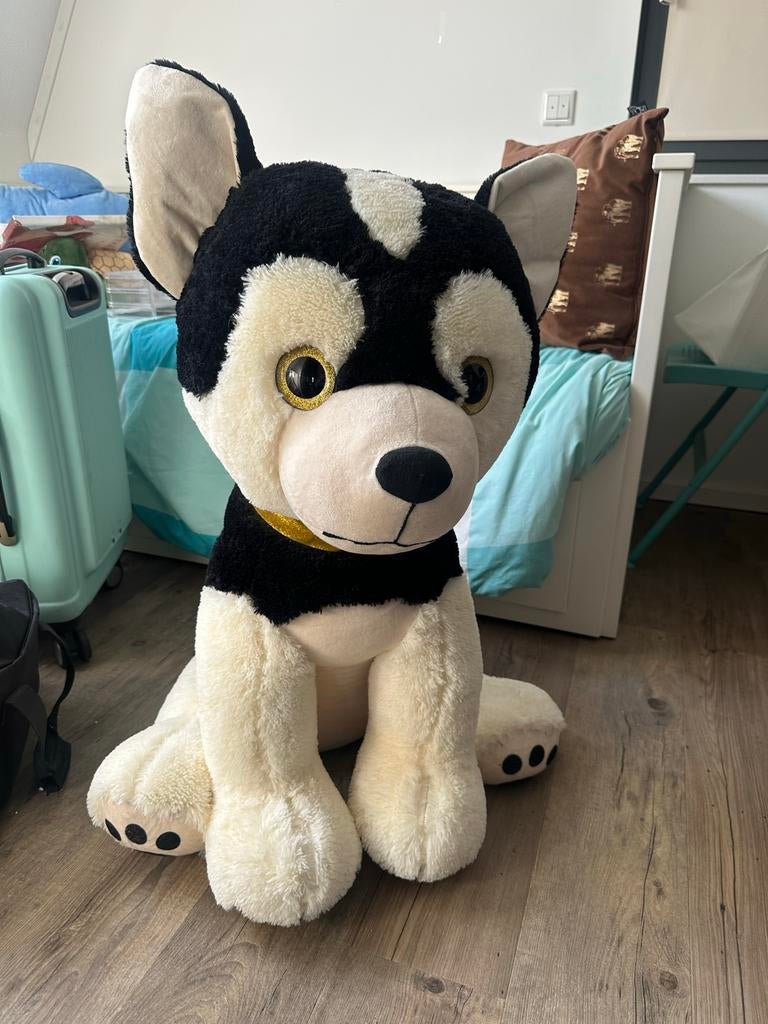 Zeer grote pluchen hond - Husky knuffel, Ophalen, Zwart, Hond, Zo goed als nieuw