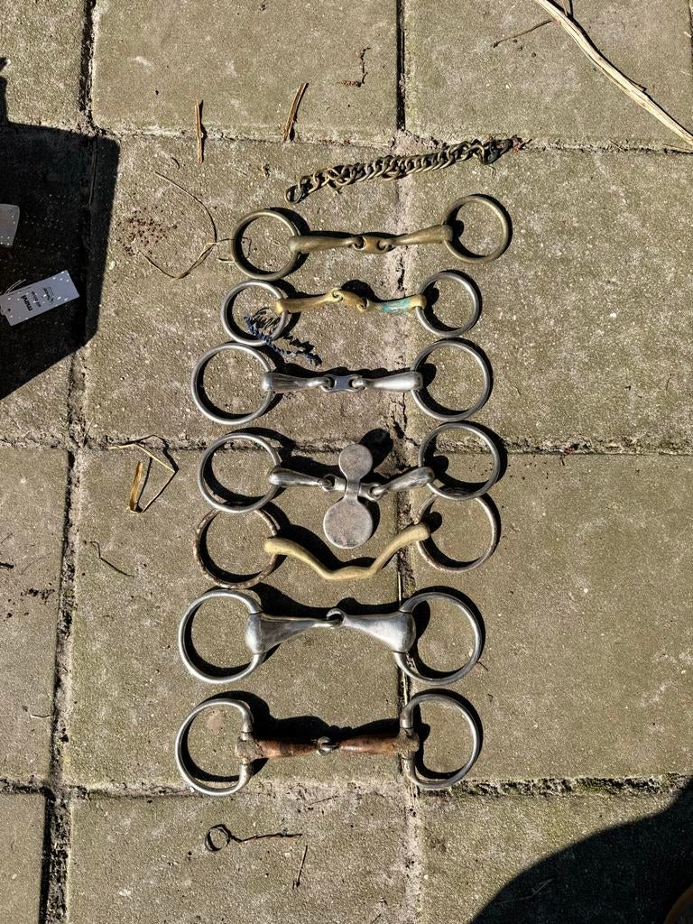Paardenspullen. Bitten. Zit er wat voor je tussen?+Trust bit, Dieren en Toebehoren, Ophalen, Overige soorten