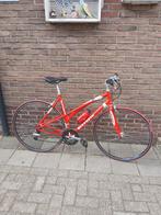 Koga Sports Lady [52cm] Dames Racefiets., Ophalen, 28 inch, Aluminium, 49 tot 53 cm