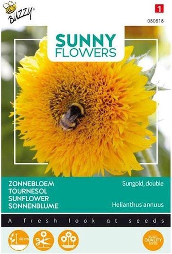 Zonnebloem zaden - Sungold  Gevuldbloemige zonnebloem, Verzenden, Volle zon, Zaad