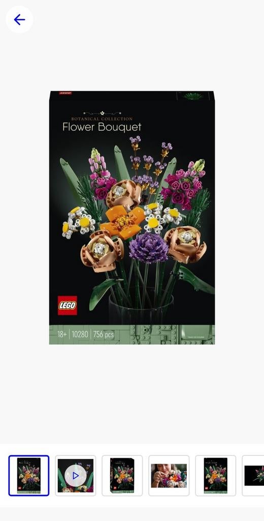 LEGO Bloemenboeket (10280) - Botanische Collectie, Kinderen en Baby's, Speelgoed | Duplo en Lego, Ophalen, Nieuw, Complete set