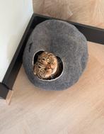 Kattengrot 100% schapenwol, Dieren en Toebehoren, Ophalen of Verzenden, Nieuw, Wol