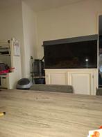 Aquarium 150-60-50, Dieren en Toebehoren, Vissen | Aquaria en Toebehoren, Ophalen