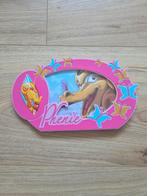 Foto lijstje Phantasialand, Ophalen of Verzenden, Zo goed als nieuw, Overige typen