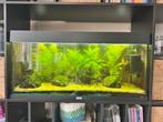 Juwel 180, Dieren en Toebehoren, Ophalen, Zo goed als nieuw, Leeg aquarium