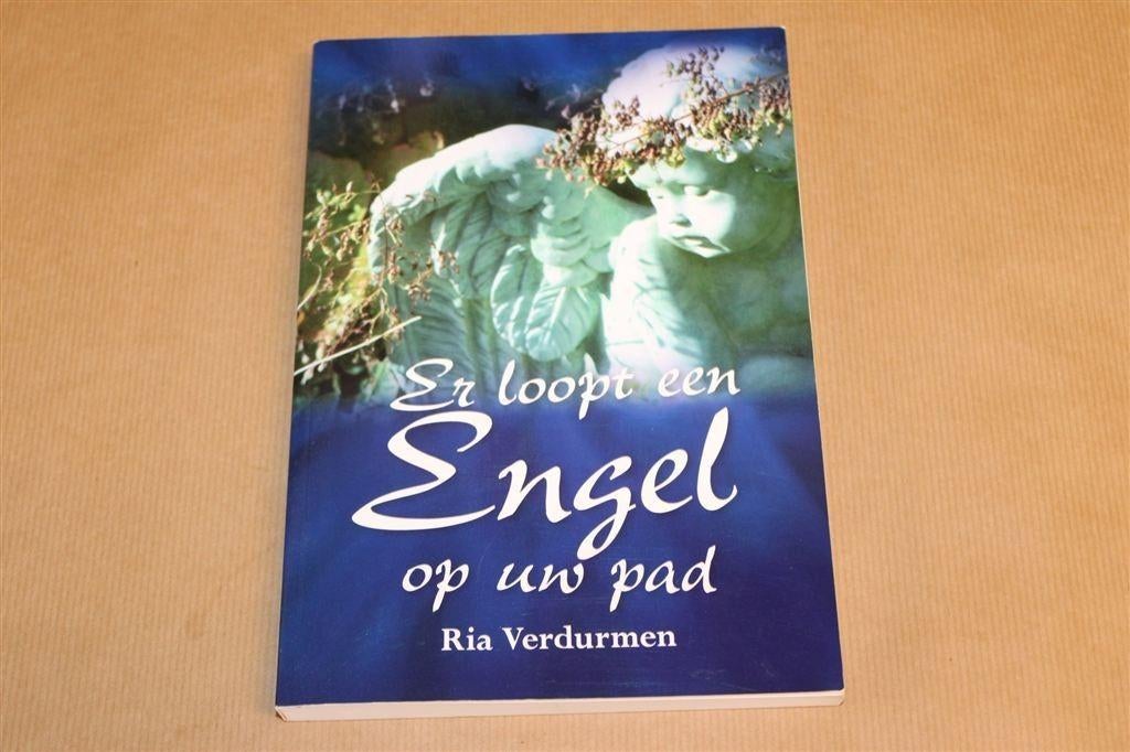 Er Loopt een Engel op Uw Pad — Engelen & Gidsen, Verdurmen, Ophalen of Verzenden, Gelezen, Overige onderwerpen, Achtergrond en Informatie