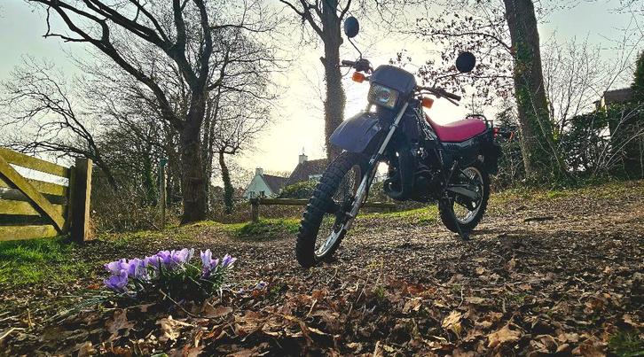Honda MTX 125 – 1985 – zeer goede staat, Motoren, Motoren | Honda, Particulier, Crossmotor, 11 kW of minder, 1 cilinder, Minimaal motorrijbewijs A1