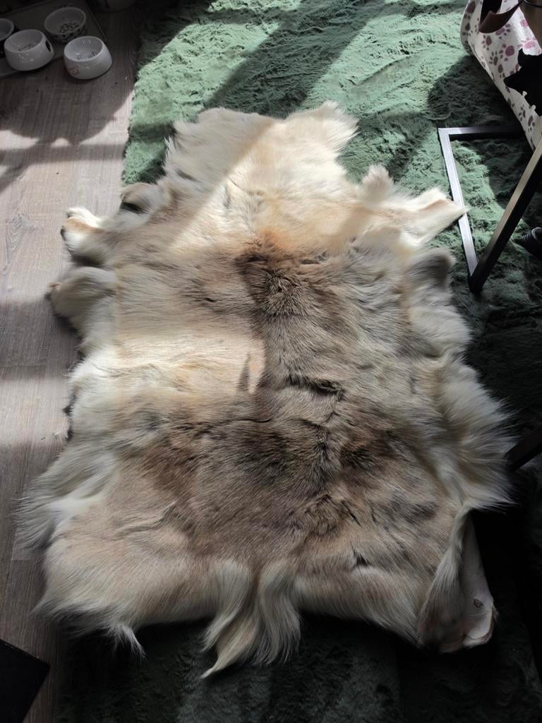 Rendierhuid, Ophalen of Verzenden