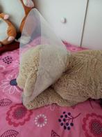 Kraag voor hond, Dieren en Toebehoren, Ophalen