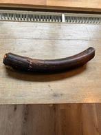 Mammoet slagtand, Verzamelen, Verzenden, Fossiel