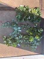 Nieuw IKEA kunst planten, Ophalen of Verzenden, Nieuw