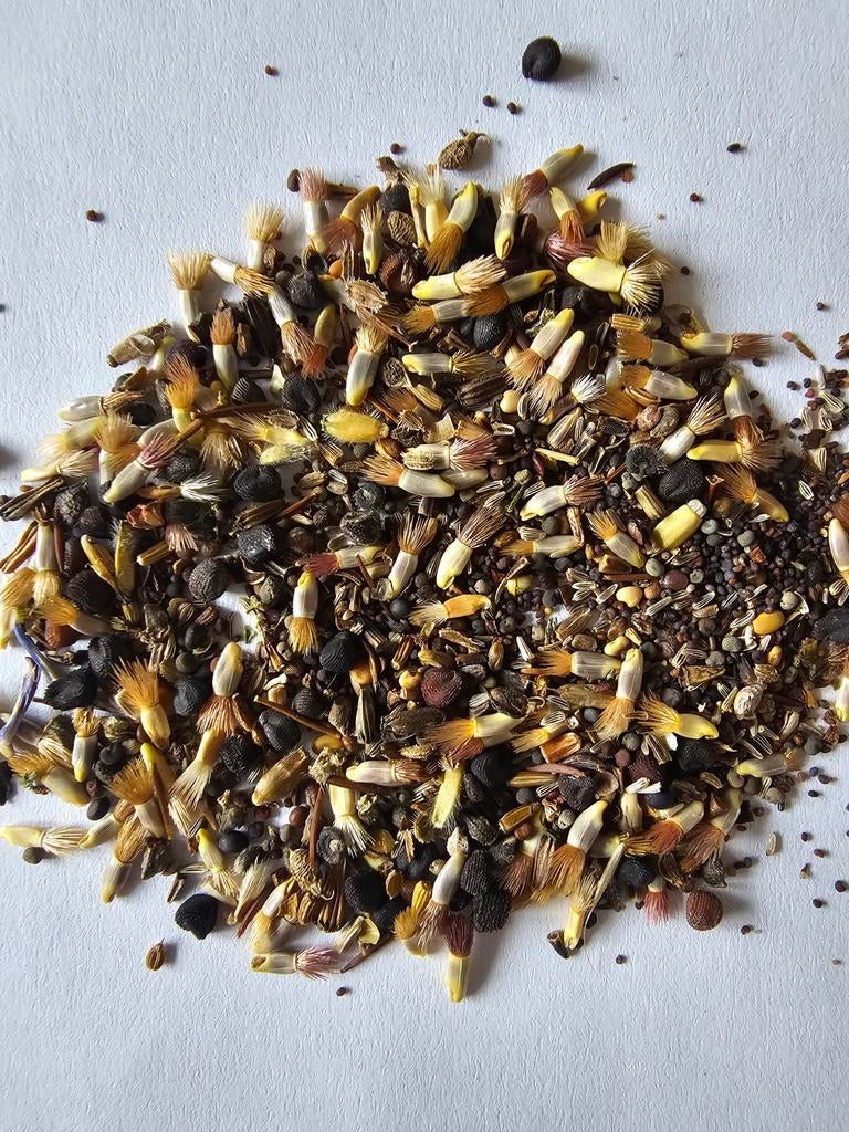 Biologische Inheemse Bloemzaden Mix - Ideaal voor Natuur, Ophalen of Verzenden, Voorjaar, Volle zon, Zaad
