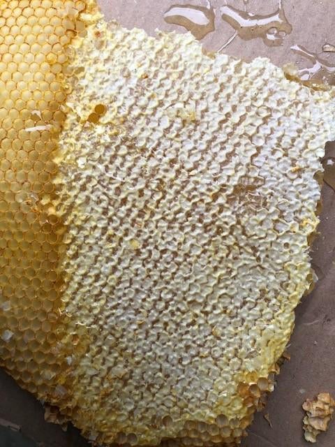 raathoning uit de top bar hive, Ophalen