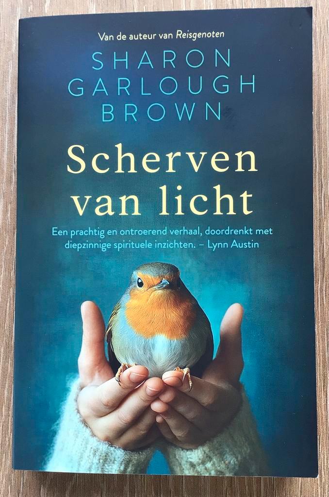 Sharon Garlough Brown – Scherven van licht ( 2025 ! ), Boeken, Romans, Nieuw, Amerika, Ophalen of Verzenden