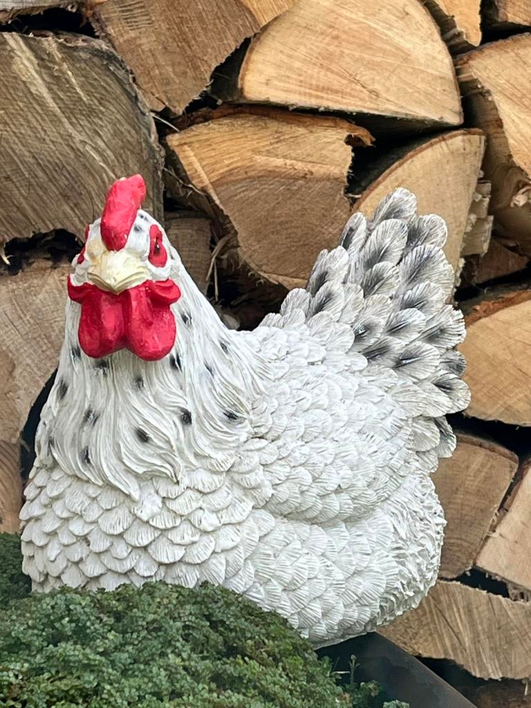 Tuinbeeld Kip, Ophalen of Verzenden