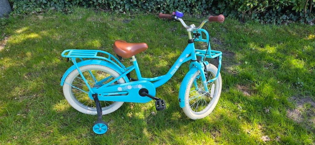 Meisjes fiets puck 18 inch, Fietsen en Brommers, Fietsen | Kinderfietsjes, Ophalen, Gebruikt, 16 tot 20 inch